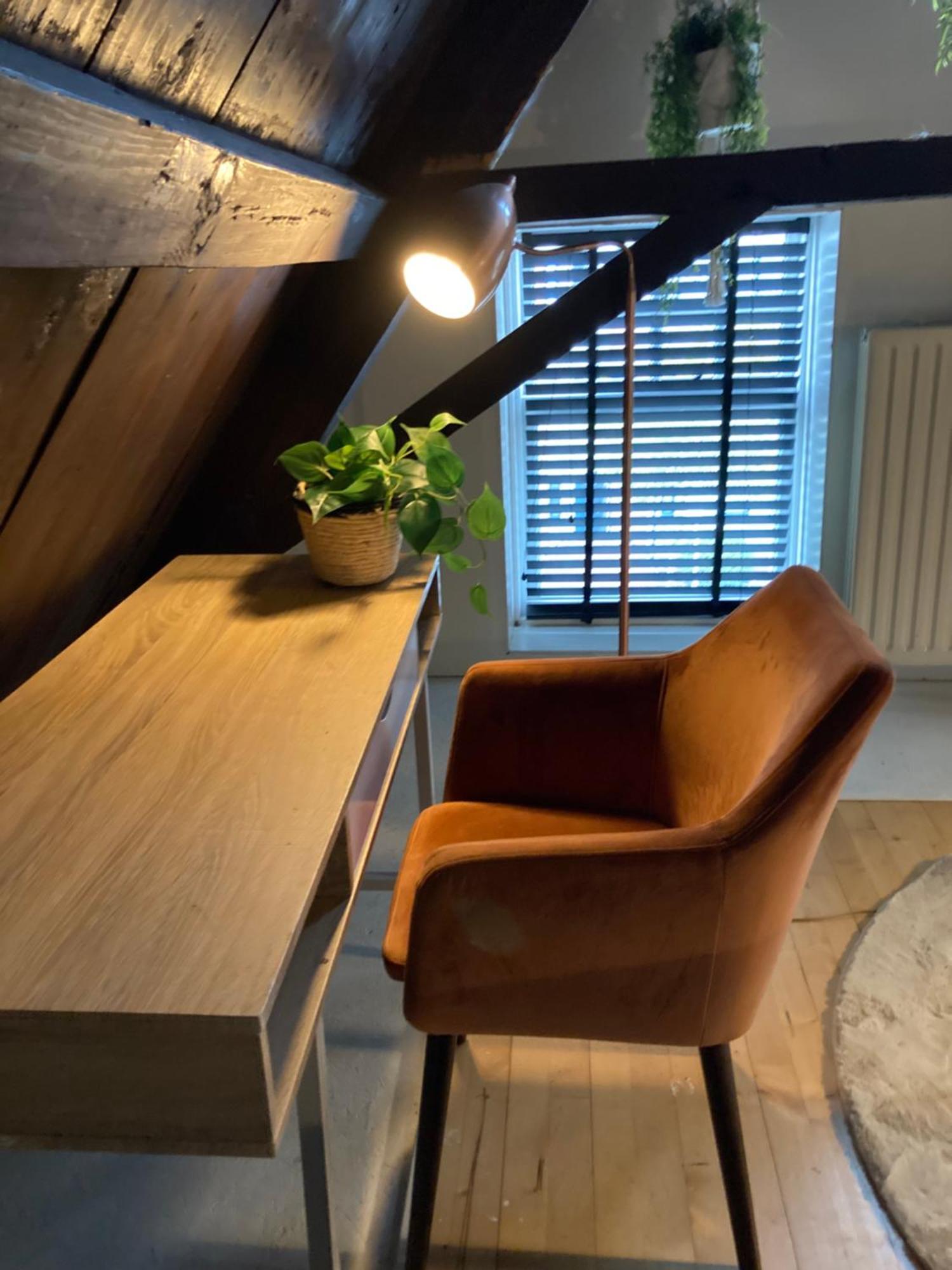 Elegant Appartement In Pakhuis Friesland Centrum Leeuwarden Room photo